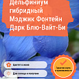 Дельфиниум гибридный Мэджик Фонтейн Дарк Блю-Вайт-Би